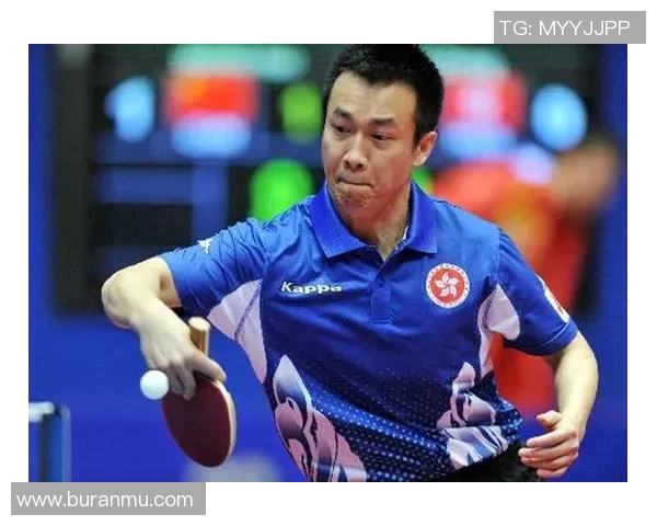 乒乓球女神李静的成功秘诀与奋斗历程全揭秘